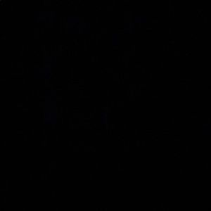 Meet your Posher, Ava